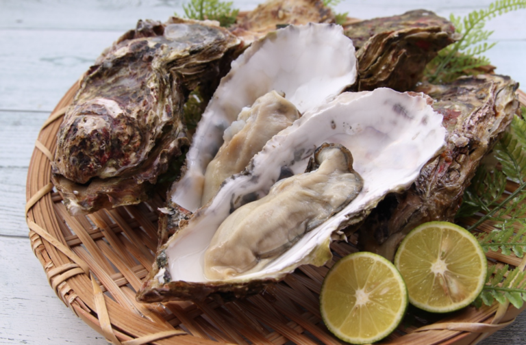 Let‘s enjoy oysters: the taste of winter!